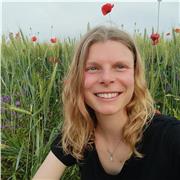 Offro aiuto compiti per bambini e ragazzi, principalmente nelle materie umanistiche (anche scientifiche per le elementari)